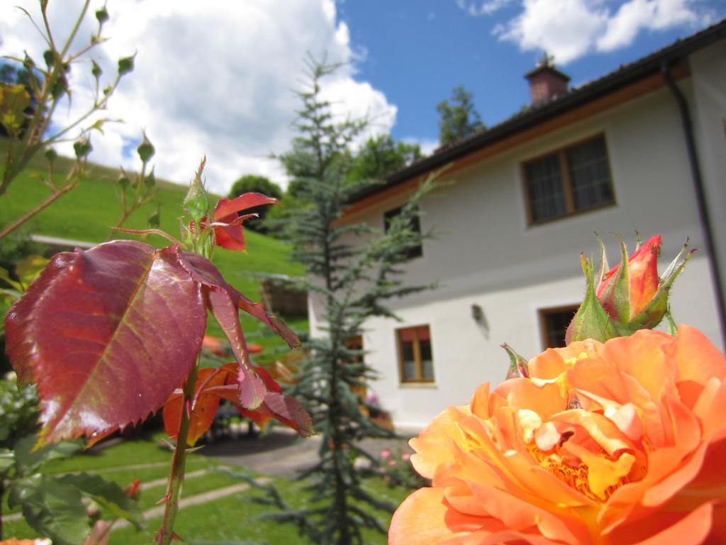 Heidi'S Schlummerkiste Am Fuss Der Teichalm Breitenau am Hochlantsch Exterior foto