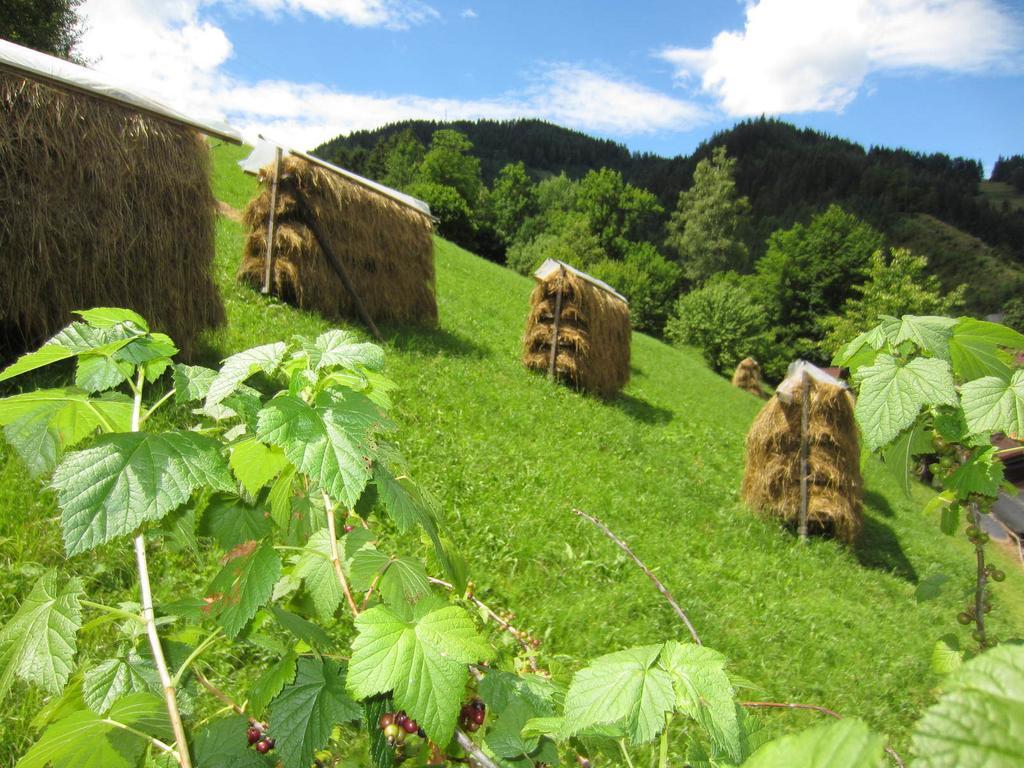 Heidi'S Schlummerkiste Am Fuss Der Teichalm Breitenau am Hochlantsch Exterior foto