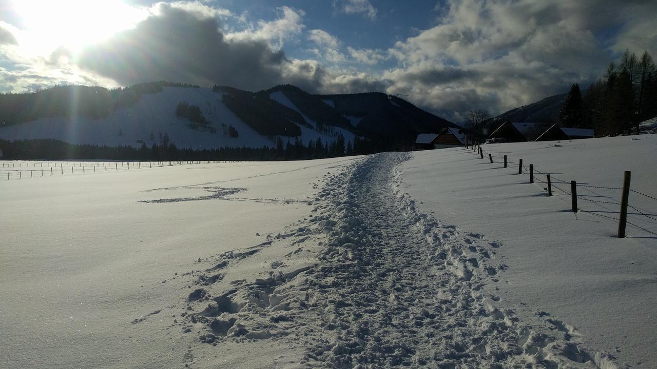 Heidi'S Schlummerkiste Am Fuss Der Teichalm Breitenau am Hochlantsch Exterior foto